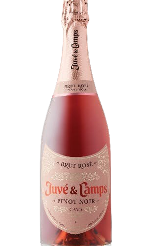 Juve & Camps Cava Brut Pinot Noir Rose 750 ML
