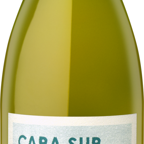 Cara Sur Moscatel Blanco Finca Maggio Barreal 2019 750 ML