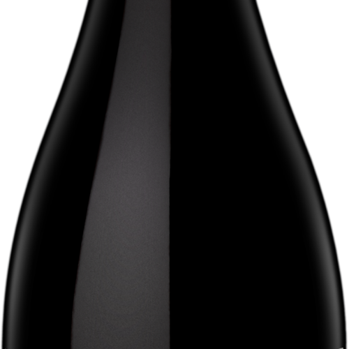 Cara Sur Vino Tinto Parcela Los Nidos Barreal Paraje Hilario 2018 750 ML
