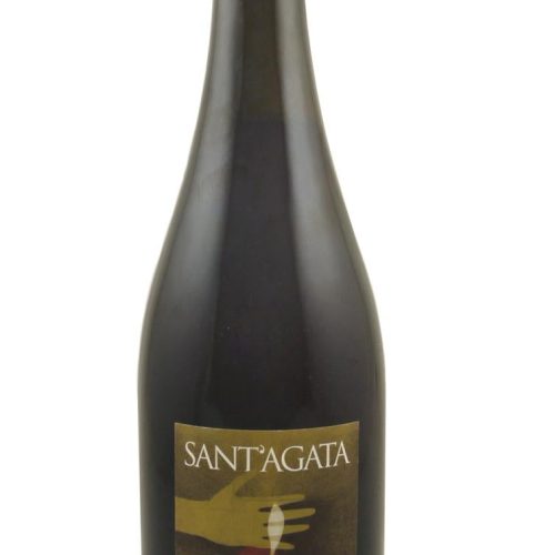 Paltrinieri Lambrusco di Sorbara Sant'Agata 2022 750 ML