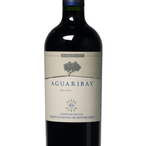 Flecha de los Andes Aguaribay Malbec 2022 750 ML