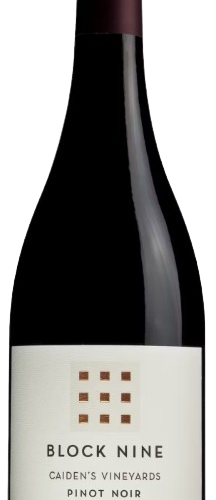Block Nine Caiden's Vineyards Pinot Noir  2022 750 ML