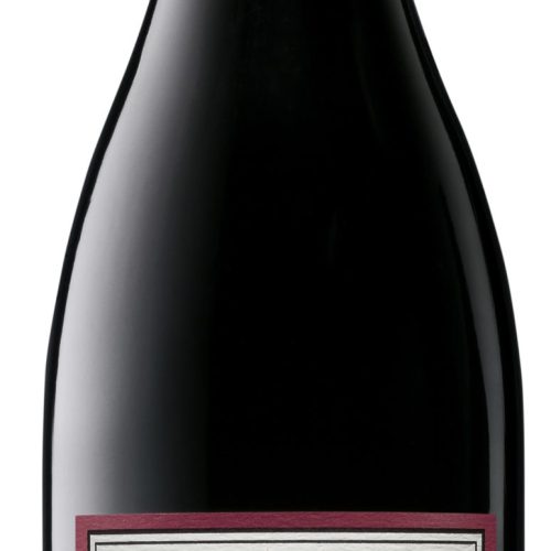 Elk Cove Willamette Valley Pinot Noir 2022 750 ML