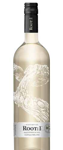 Root 1 Casablanca Sauvignon Blanc 2023 750 ML