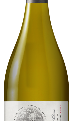 Concha Y Toro Sauvignon Blanc Terrunyo 2022 750 ML