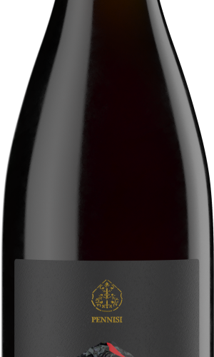 Etneide Etna Rosso 2016 750 ML