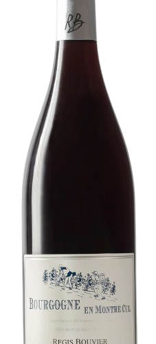 Regis Bouvier Gevrey Chambertin 2019 750 ML