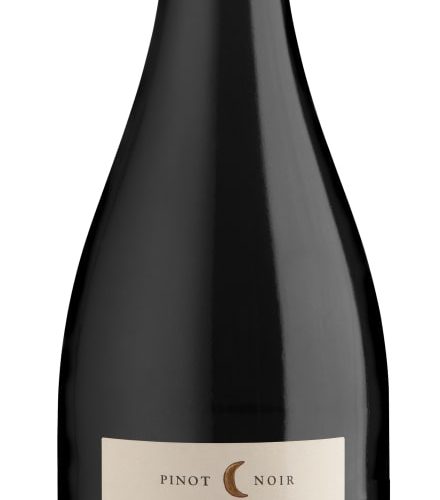 Ritual Pinot Noir Casablanca Valley 2019 750 ML