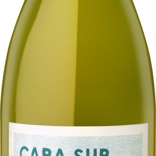 Cara Sur Moscatel Blanco Finca Maggio Barreal 2021 750 ML