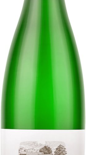 Brundlmayer Riesling Erste Lage Heiligenstein Zobing 2021