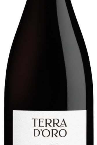 Terra D'oro Barbera Amador County 2021 750 ML