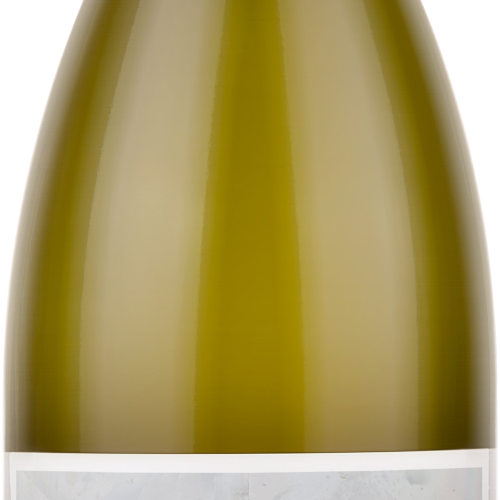 Brundlmayer Gruner Veltliner Ried Vincent Spiegel Langenlois 2021 750 ML